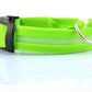 Nylon LED Pet Dog Luminous Collar Night Safety Flashing Glow in Dark Dog Cat Leash Adjustable Pet Supplies