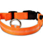 Nylon LED Pet Dog Luminous Collar Night Safety Flashing Glow in Dark Dog Cat Leash Adjustable Pet Supplies