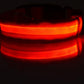 Nylon LED Pet Dog Luminous Collar Night Safety Flashing Glow in Dark Dog Cat Leash Adjustable Pet Supplies