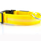 Nylon LED Pet Dog Luminous Collar Night Safety Flashing Glow in Dark Dog Cat Leash Adjustable Pet Supplies